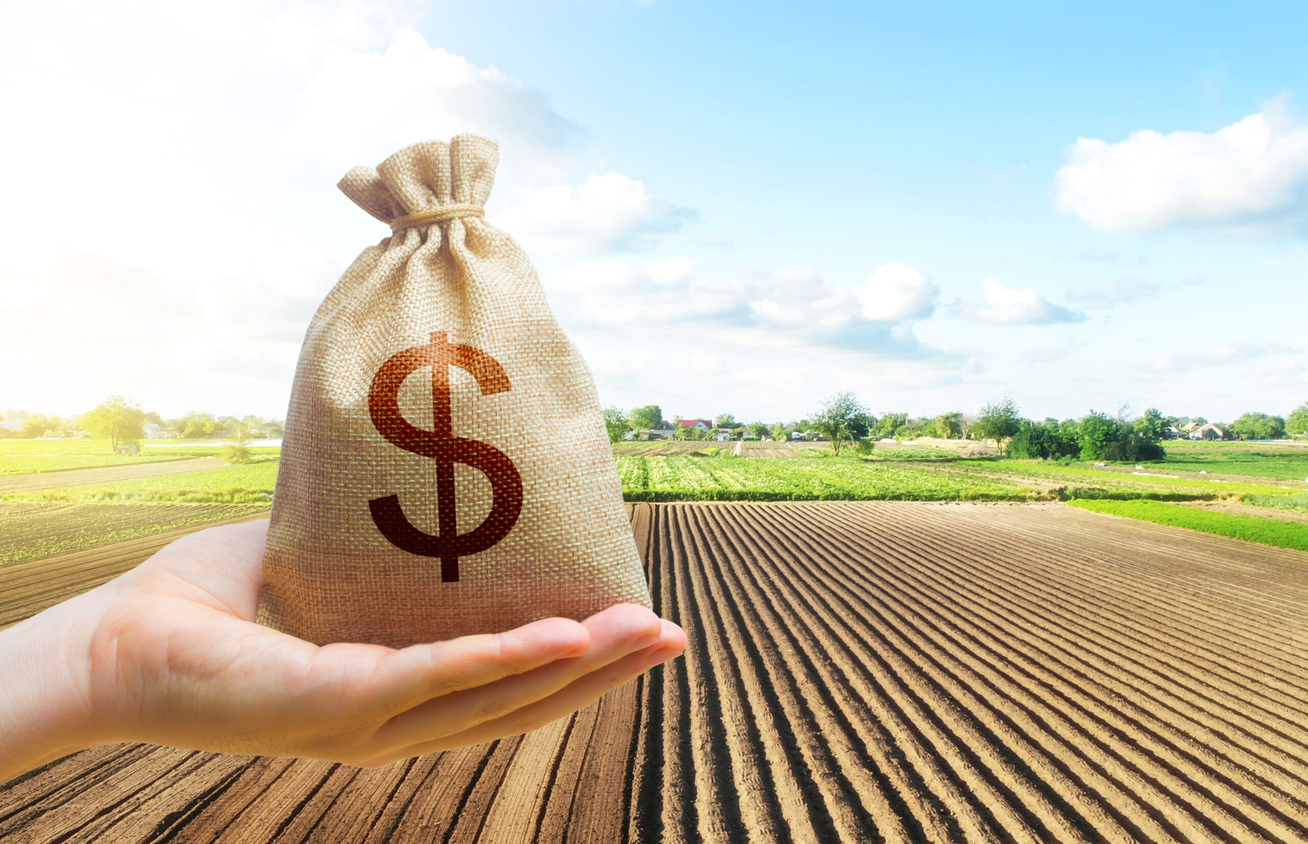 A hand holds out a dollar money bag on a background of a farm field. Lending farmers and agricultural enterprises for purchase land and seed material, equipment modernization Support and subsidies.